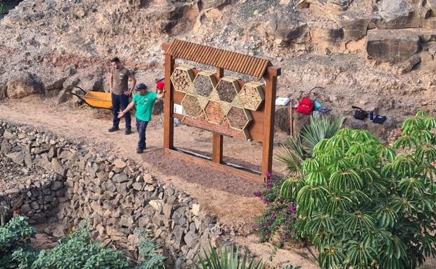 El PFAE La Jara 'abre' un hotel de insectos en el barranco Pilón