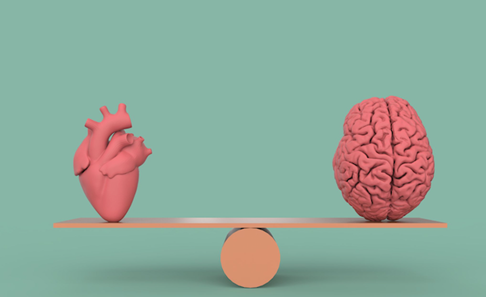 Razón y emoción: así se capta de manera inteligente a un votante