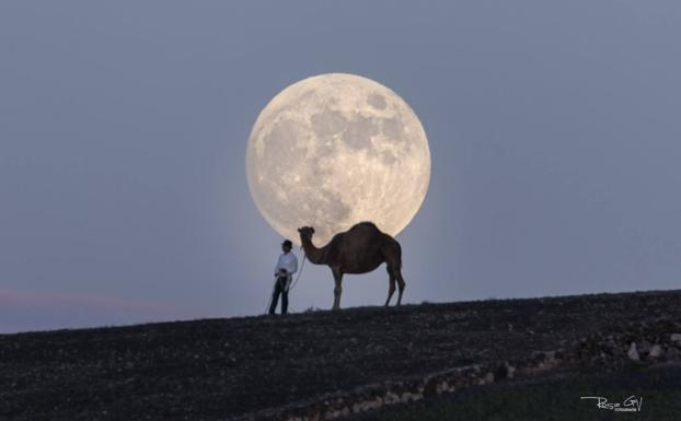 'El camello y la Luna': una mirada al cielo desde Lanzarote