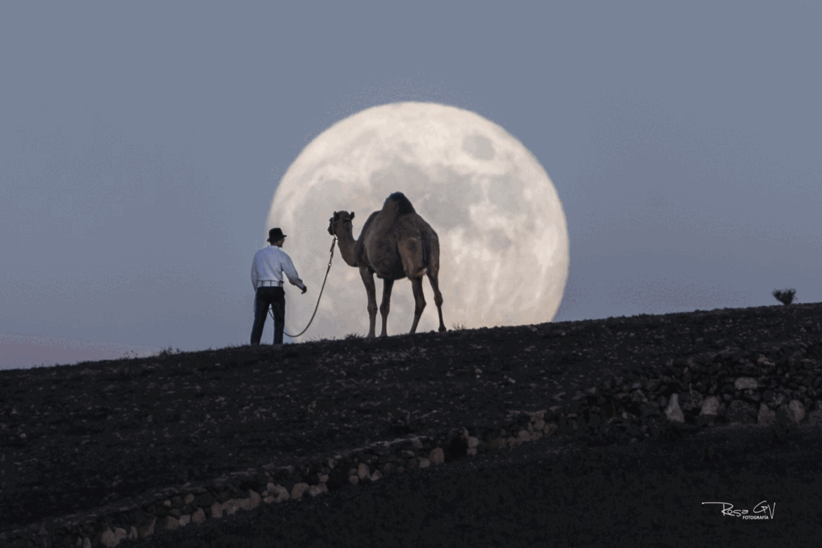 'El camello y la Luna': una mirada al cielo desde Lanzarote