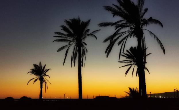 Canarias contará este martes con calima y cielos despejados