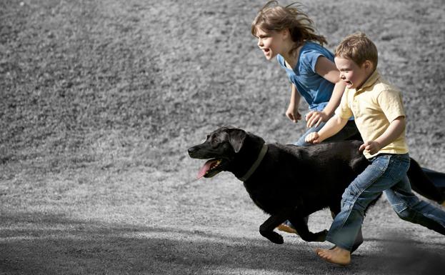 Beneficios para los más pequeños crezcan con mascotas