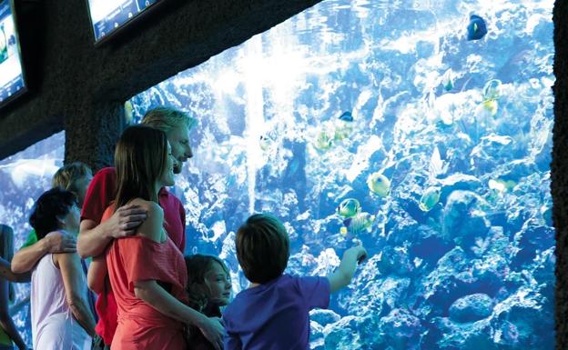 5 planes para niños en Canarias