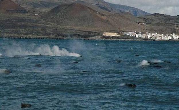 Vigilar los gases que liberan los volcanes activos podría evitar catástrofes