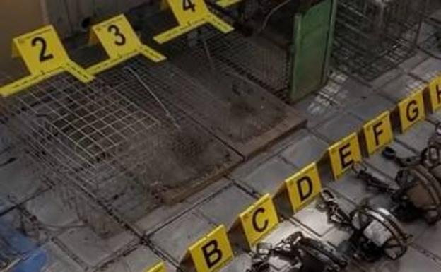 48 trampas para capturar animales retiradas en Gran Canaria en 18 meses