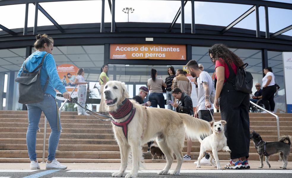 Animundo abre sus puertas centrada en el bienestar de las mascostas