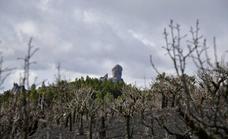 Un estudio del Involcan constata que Gran Canaria sigue volcánicamente activa