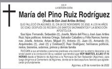 María del Pino Ruiz Rodríguez