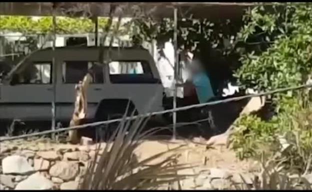 Nuevo caso de maltrato: tira piedras y tablas de madera a sus perros