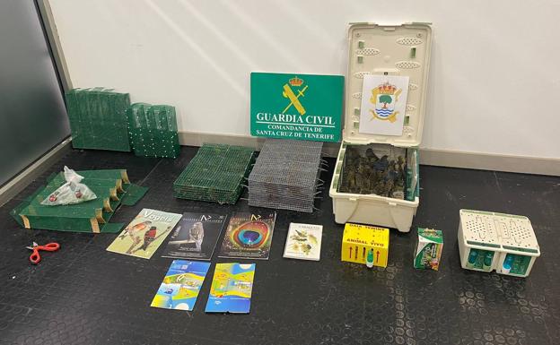 Detenidas cuatro personas por contrabando, maltrato animal y grupo organizado en Tenerife
