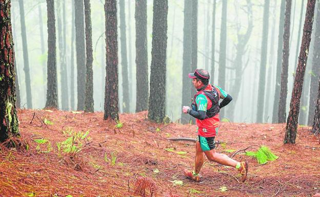 Tamadaba, una joya de trail