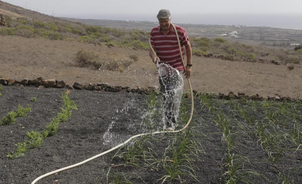 El plazo para abaratar el agua agrícola, hasta fin de febrero