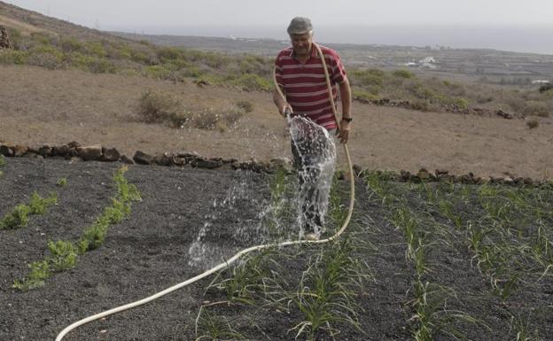El plazo para abaratar el agua agrícola, hasta fin de febrero
