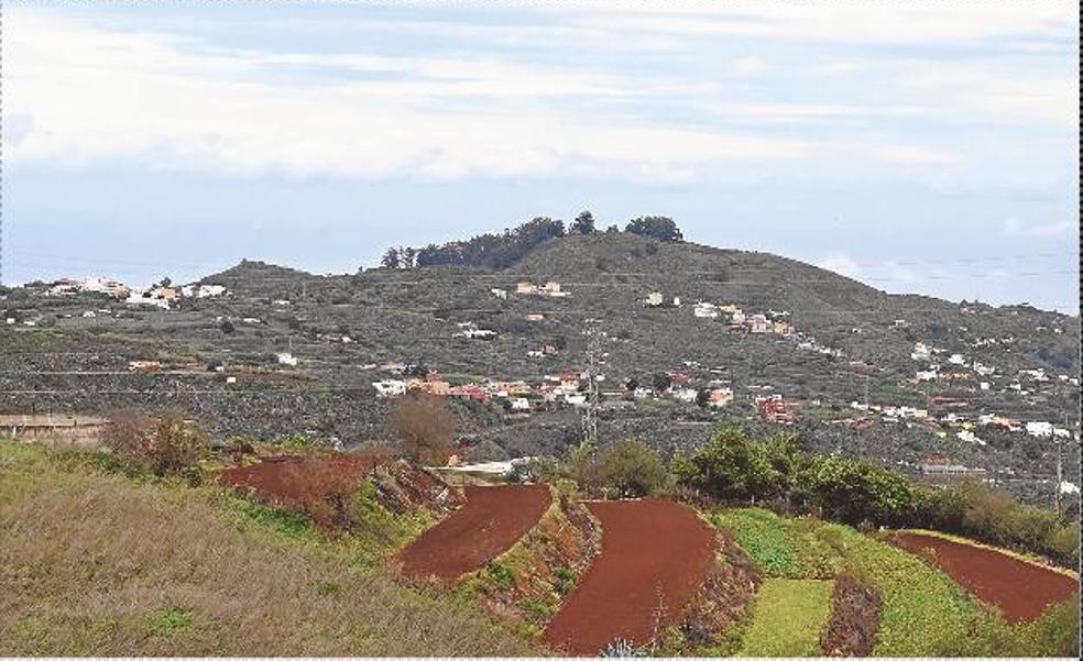 Los cultivos sobre la cota 300 son los más agraciados con las últimas lluvias