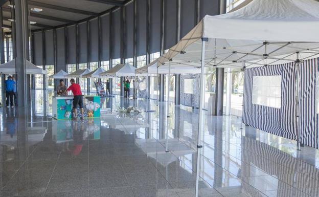 La OCDE debatirá cómo asegurar que los derechos humanos estén presentes en la transformación digital