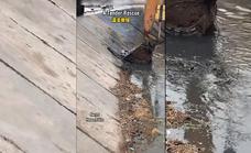 El rescate a un cachorro con una excavadora que se ha hecho viral