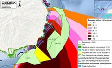 El Estado borra la zona para eólica marina más próxima al sur de Gran Canaria