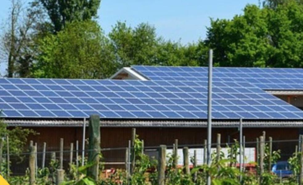 Un millón para que 71 granjas de Gran Canaria instalen energía solar