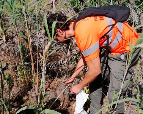 La captura de serpientes volvió a batir su récord anual durante 2022