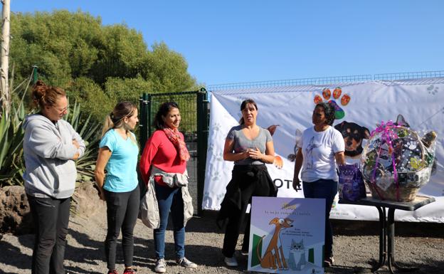 Cuento infantil dedicado a las mascotas