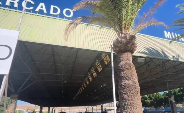 El sur de Gran Canaria cierra 2022 con una inversión de 9 millones de euros