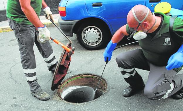 Controles antiplagas en una decena de barrios