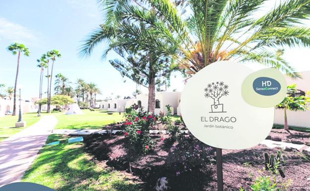 HD Hotels apuesta por la sostenibilidad en el turismo