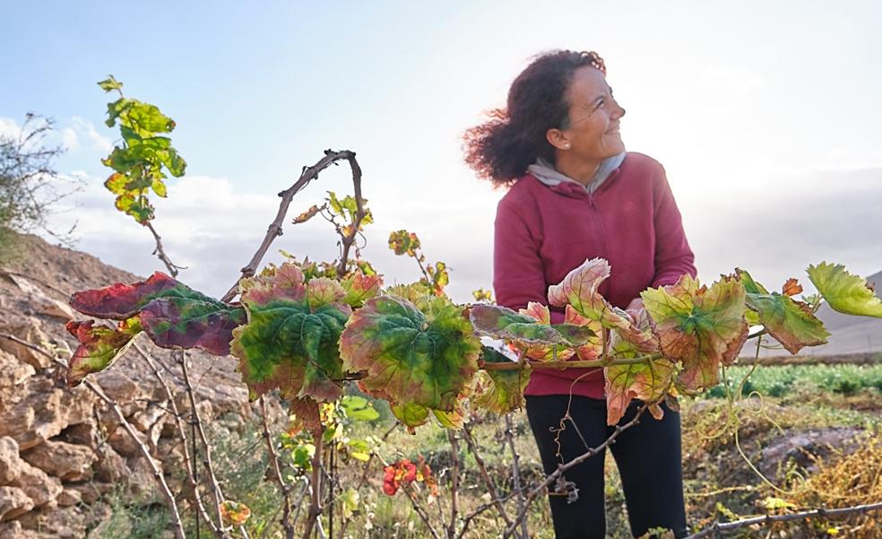 'Aires de Tefía': el vino de la única viticultora majorera