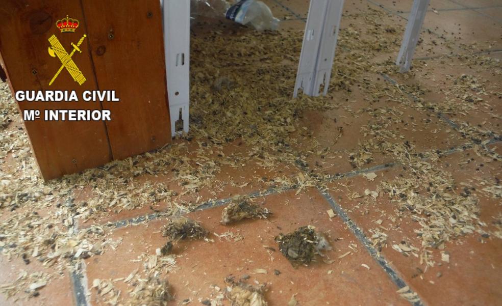 Hallan muertos a varios hámster y conejos en una tienda de mascotas de Tenerife