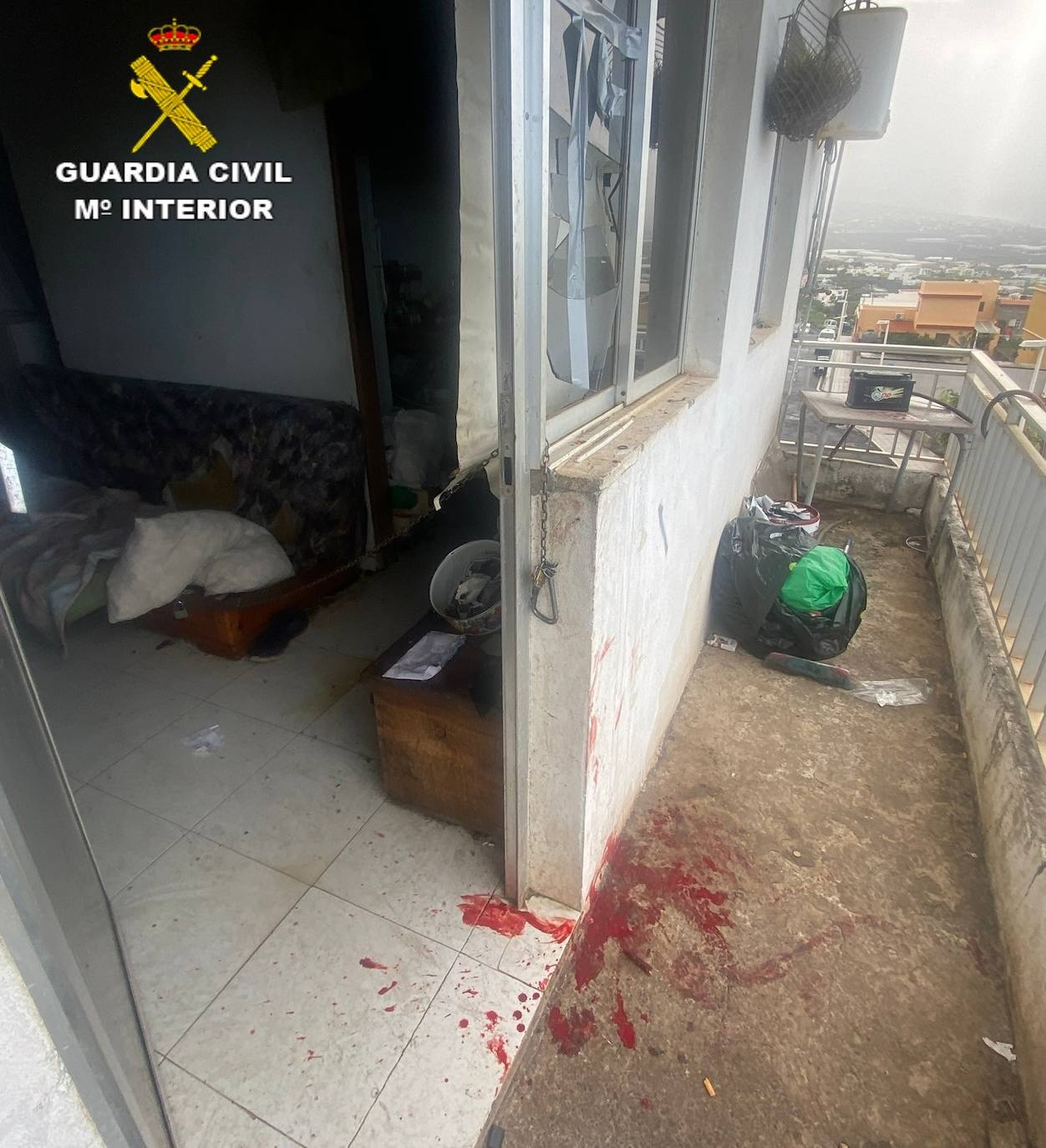 Herido grave tras ser atacado por su perro en Los Llanos de Aridane