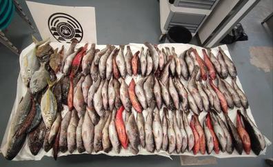 Intervienen 40 kilos de pescado en La Barranquera, en Tenerife