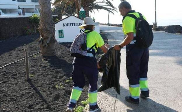La población laboral se incrementó en casi 4.200 profesionales en 2022