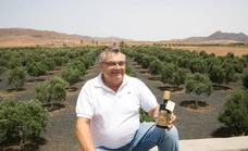 Luis Hernández: «Tengo 2.500 olivos y no planto ni uno más, ni en una maceta»