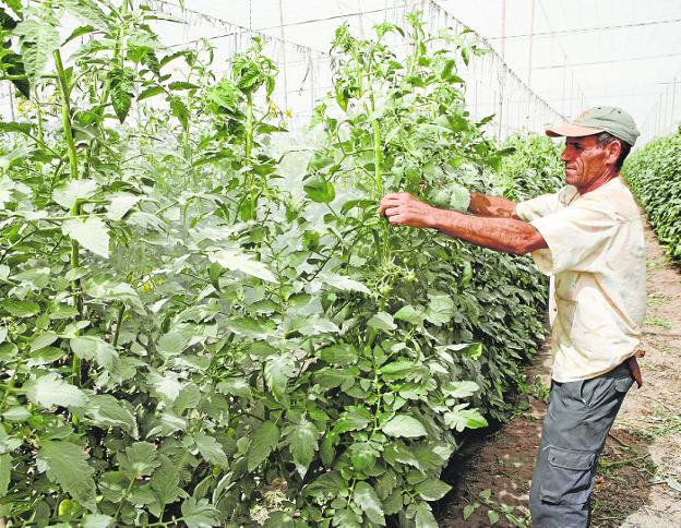 El SMI escala en Canarias hasta el 70% del sueldo medio: menos de 6.500 euros los separan