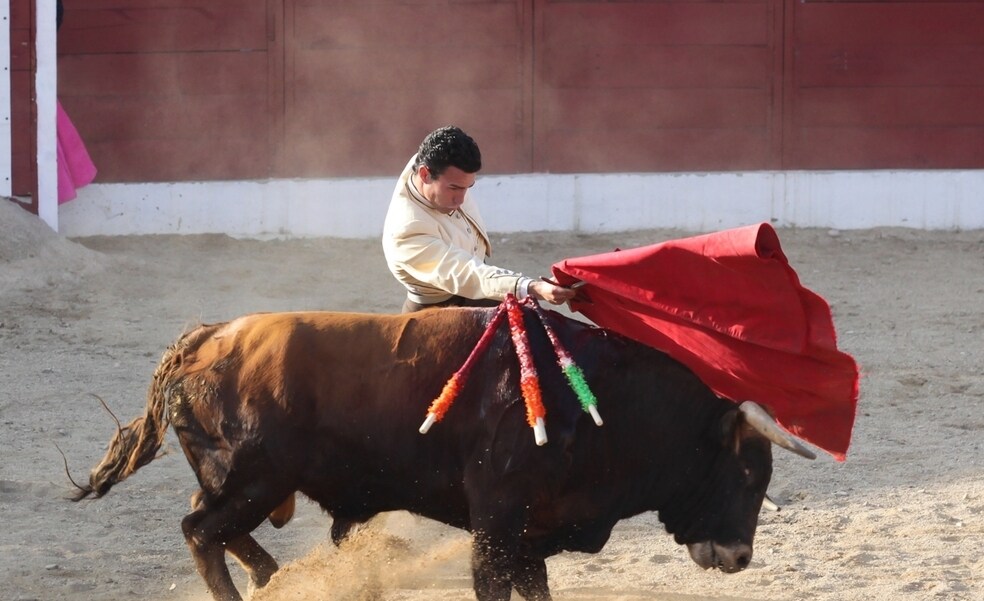 El Supremo anula la exclusión de los toros del bono cultural joven