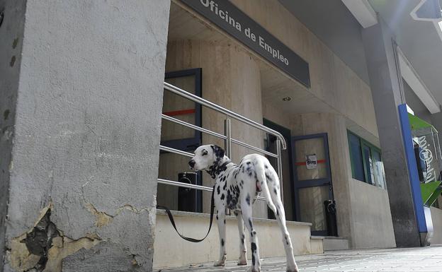 Las decisiones que toma un Gobierno son colectivas