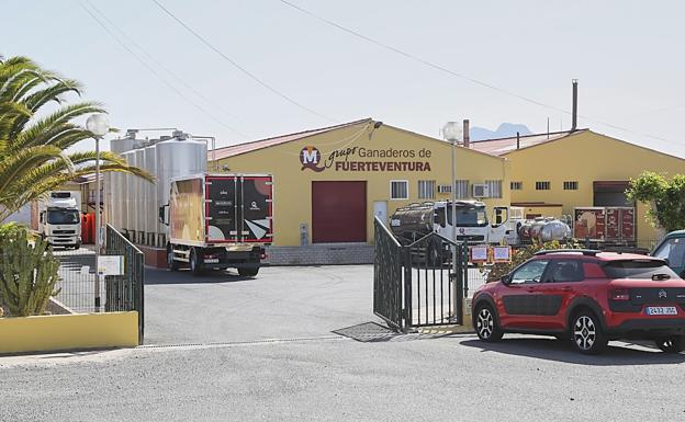 Absuelto el grupo Ganaderos de Fuerteventura de un delito contra el medio ambiente