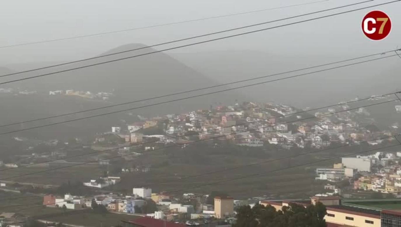 Los vídeos más destacados de este martes 14 de febrero