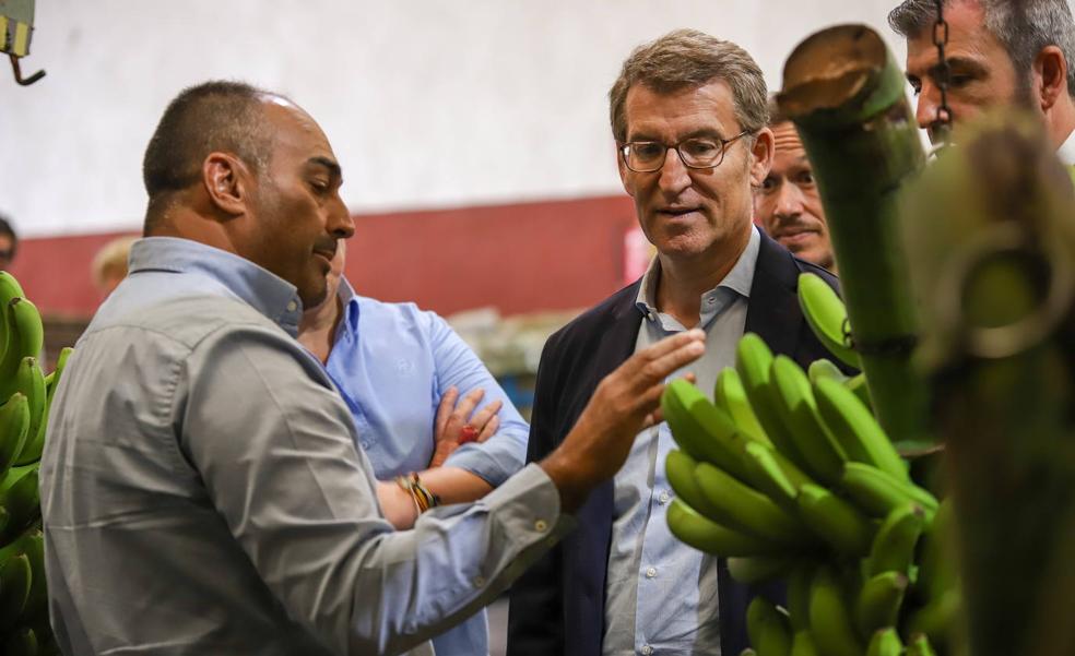 Feijóo propone un plan de 1.000 millones para La Palma