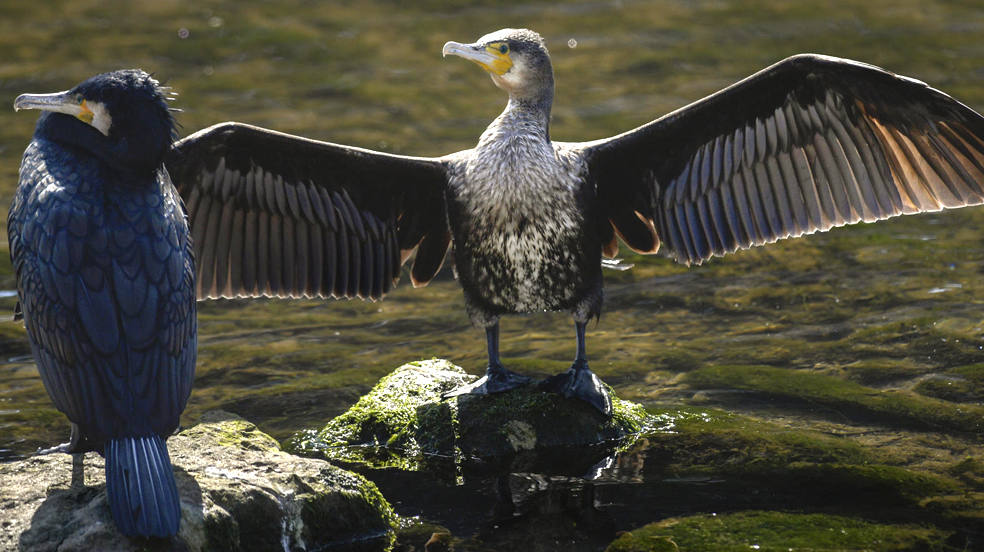 El día, en imágenes