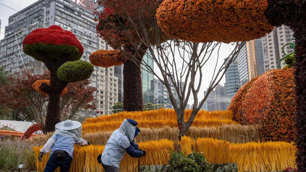 El día, en imágenes