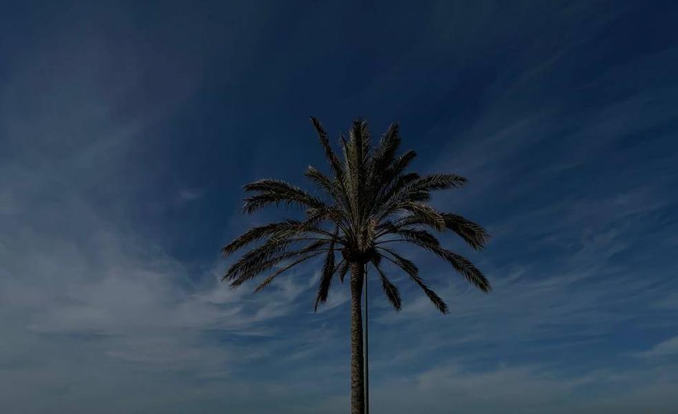 La calima protagonizará el miércoles en Canarias