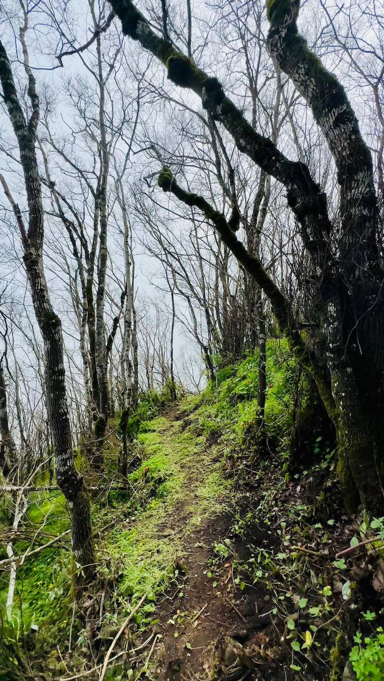El parque de atracciones de la Villa de Teror