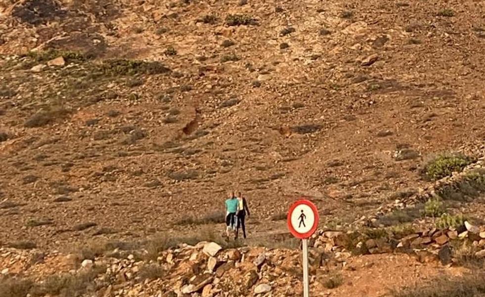 La Guardia Civil denuncia a cuatro personas por transitar por la montaña de Tindaya