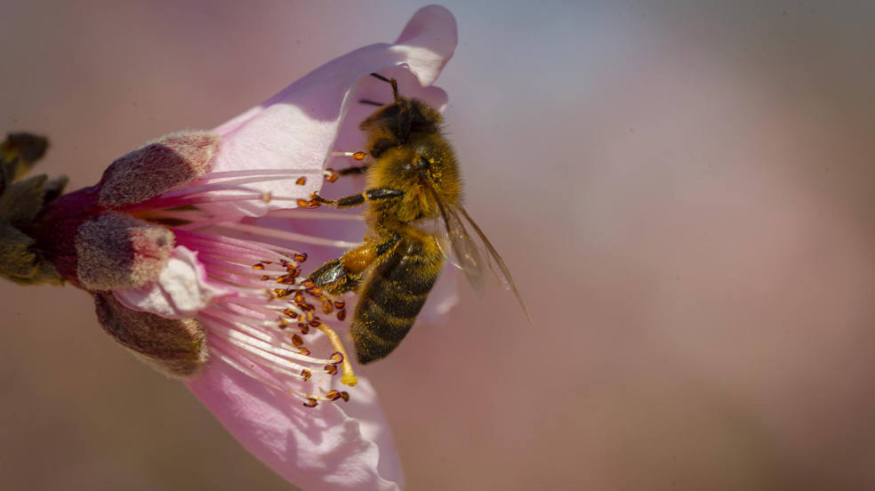 El día, en imágenes